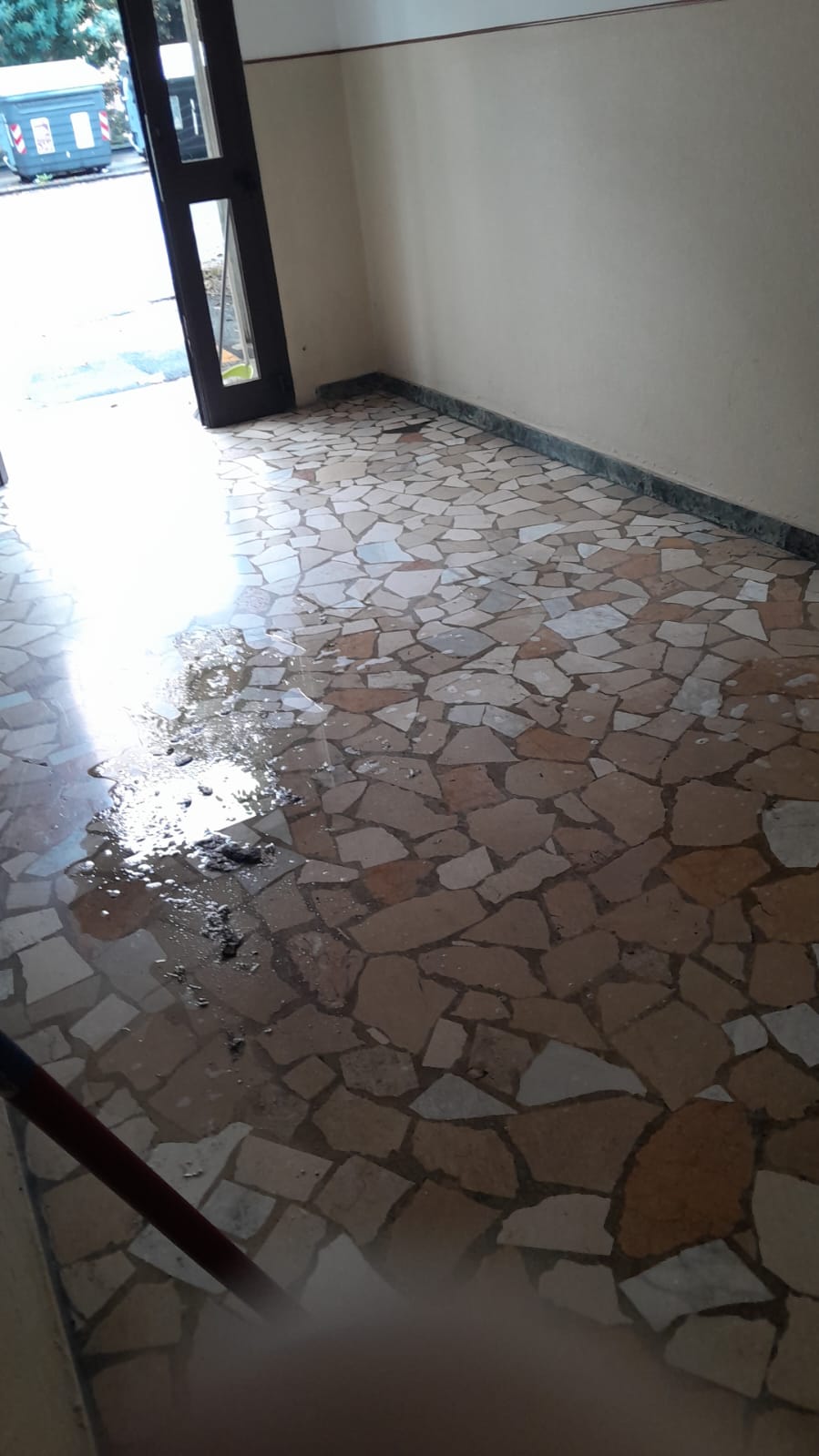 WhatsApp Image 2024-10-04 at 11.07.13